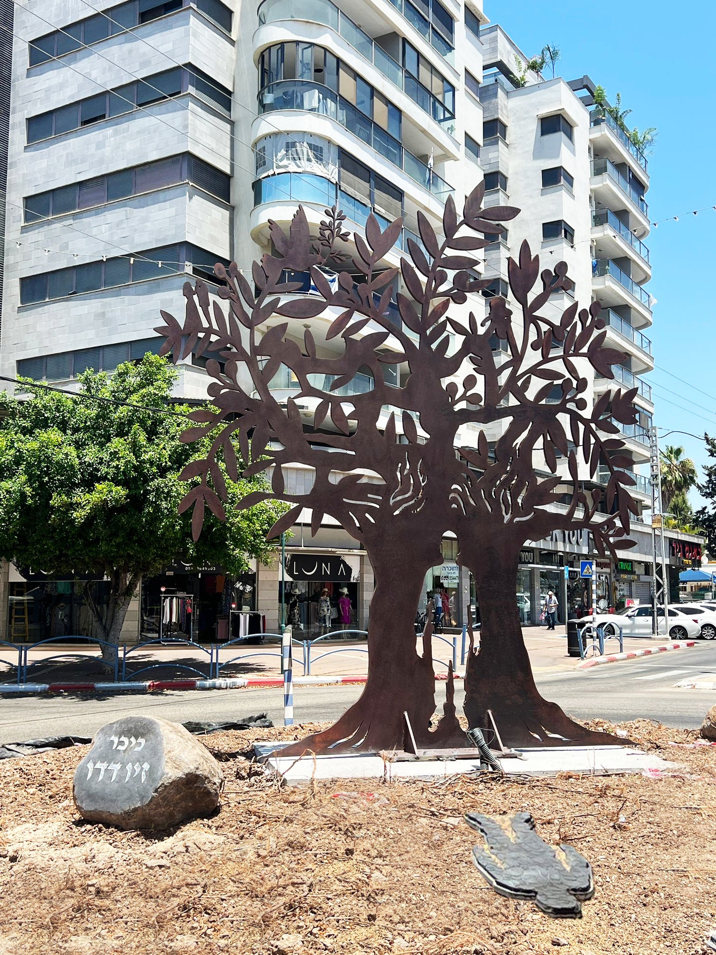 "עץ זית" לזכרו של רס"ב זיו דדו ז"ל