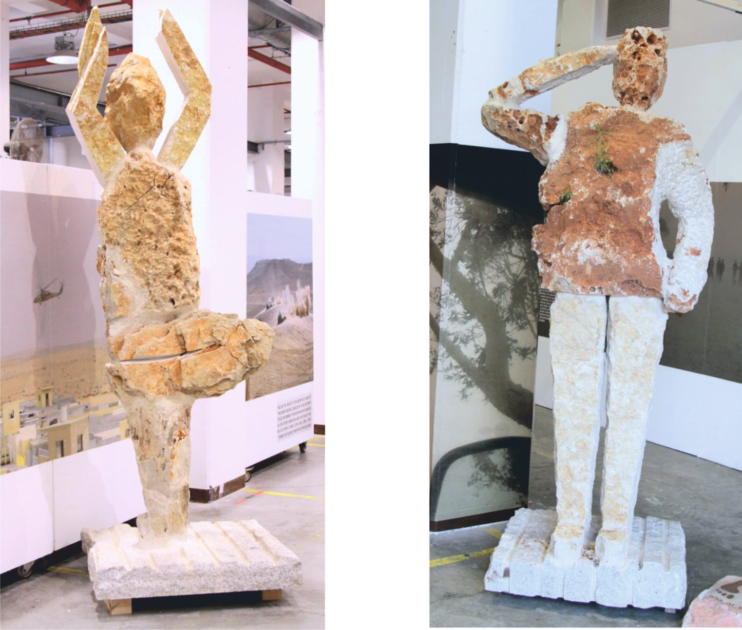 "יוגה והמצדיע" 2019