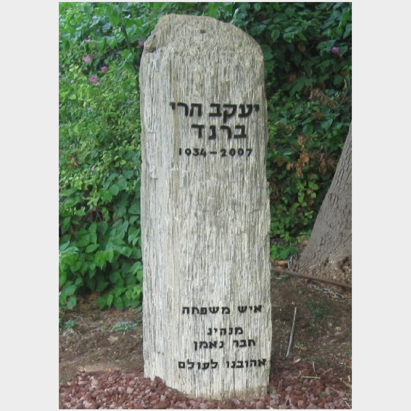 מצבה 3896 - מצבות אבן ראש